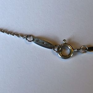 Tiffany & Co. Jewelry - Tiffany Elsa Peretti Apple Pendant Necklace Tiffany & Co. Jewelry - Tiffany Elsa Peretti Apple Pendant Necklace